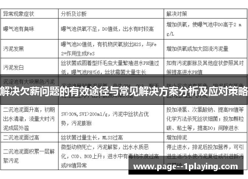 解决欠薪问题的有效途径与常见解决方案分析及应对策略