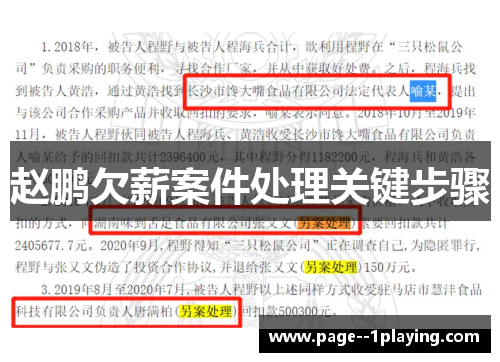 赵鹏欠薪案件处理关键步骤