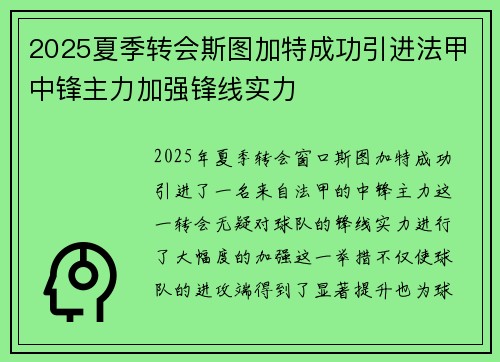 2025夏季转会斯图加特成功引进法甲中锋主力加强锋线实力